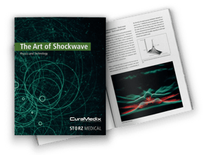 Art of Shockwave Mockup 3