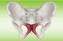 EPAT used in treatment of pelvic floor dysfunction
