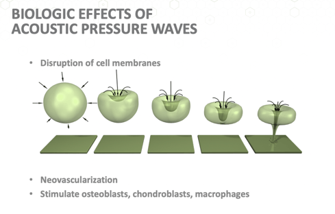 Screenshot 2026-04-23 at 2.31.38 PM