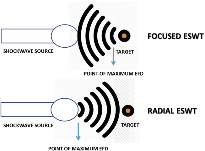 Shockwave Introduction Shockwave Research: 30+ Years of Progress